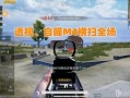 揭秘和平精英女主播开挂扫车背后的故事：技术、争议与公众视角的探讨_和平精英女主播开挂扫车