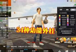 和平精英都有什么挂_和平精英开外挂的名场面
