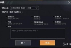 《和平精英开挂行为揭秘：如何检测与防范作弊手段》_和平精英开挂怎么被检测