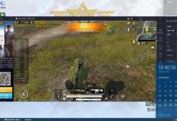 和平精英透视自瞄下载_和平精英黑科技透视自瞄防封版v10.0