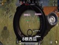 和平精英怎么免费外挂_和平精英怎么申请外挂查询