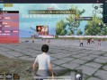 和平精英免费挂透视_和平精英观战透视挂视频