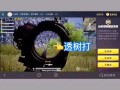 和平精英如何开自瞄_和平精英的团竞如何自瞄