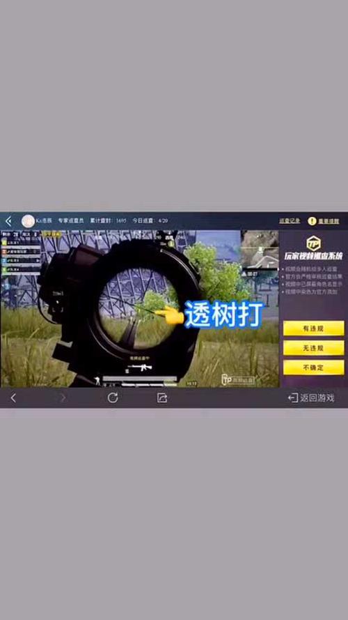 和平精英怎么开透视_和平精英打开透视镜头  第1张