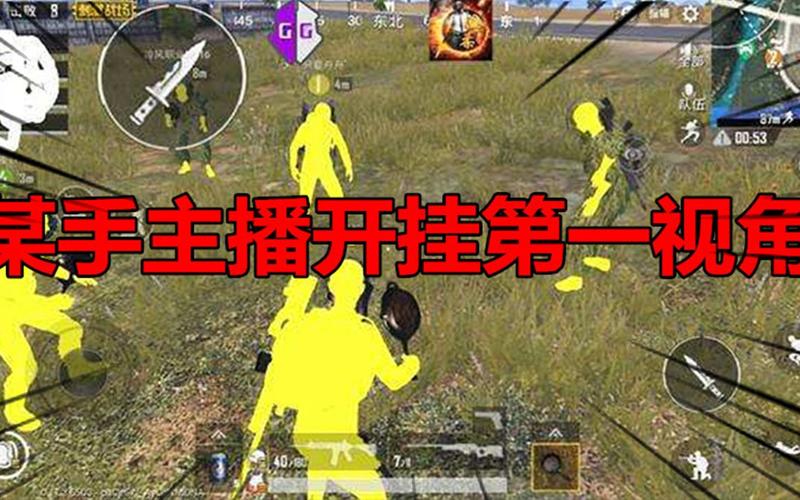 揭秘和平精英主播开挂背后的专属音乐：背后的故事与真相探索_和平精英主播开挂的专属音乐全  第1张